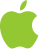 Apple store Icon